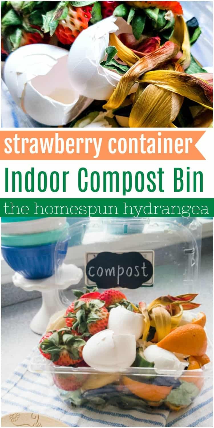 DIY Strawberry Container Countertop Compost Bin
